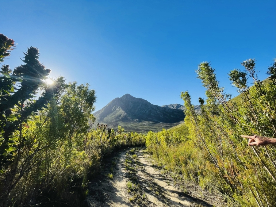 0 Bedroom Property for Sale in Joubertina Eastern Cape